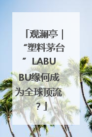 观澜亭｜“塑料茅台”LABUBU缘何成为全球顶流？
