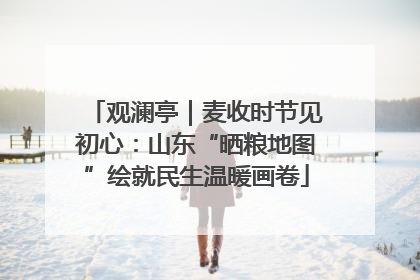 观澜亭｜麦收时节见初心：山东“晒粮地图”绘就民生温暖画卷