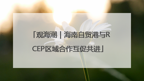 观海潮｜海南自贸港与RCEP区域合作互促共进