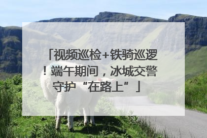 视频巡检+铁骑巡逻！端午期间，冰城交警守护“在路上”