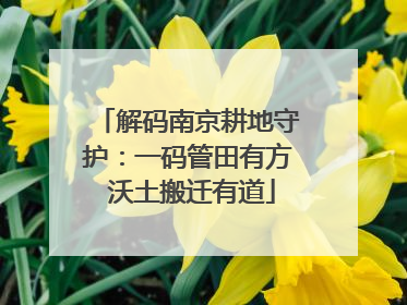 解码南京耕地守护：一码管田有方 沃土搬迁有道