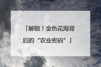 解锁！金色花海背后的“农业密码”