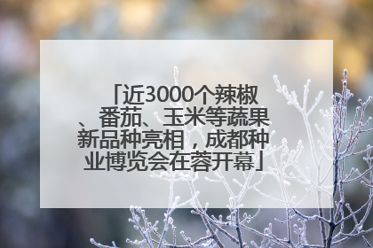 近3000个辣椒、番茄、玉米等蔬果新品种亮相，成都种业博览会在蓉开幕