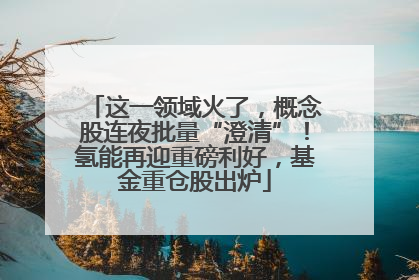 这一领域火了，概念股连夜批量“澄清”！氢能再迎重磅利好，基金重仓股出炉