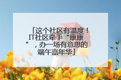 这个社区有温度！IT社区牵手“康康”，办一场有意思的端午嘉年华