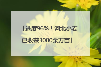 进度96%！河北小麦已收获3000余万亩