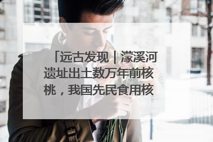 远古发现｜濛溪河遗址出土数万年前核桃，我国先民食用核桃历史大幅提前