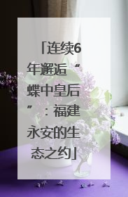 连续6年邂逅“蝶中皇后”：福建永安的生态之约