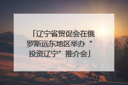辽宁省贸促会在俄罗斯远东地区举办“投资辽宁”推介会