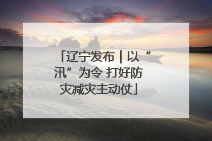 辽宁发布｜以“汛”为令 打好防灾减灾主动仗