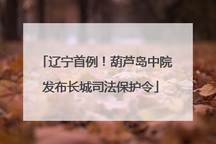 辽宁首例！葫芦岛中院发布长城司法保护令
