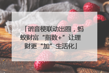 谐音梗联动出圈，蚂蚁财富“指数+”让理财更“加”生活化