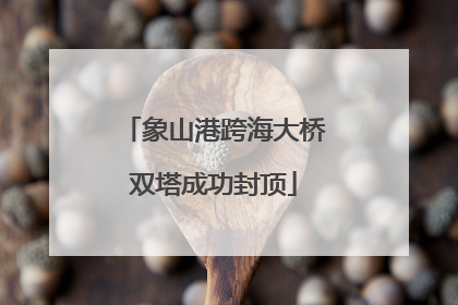 象山港跨海大桥双塔成功封顶