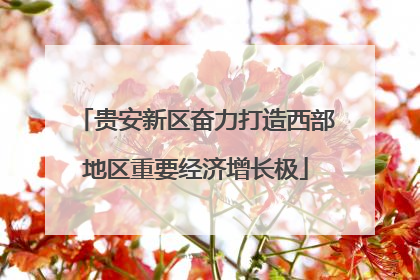 贵安新区奋力打造西部地区重要经济增长极