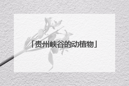 贵州峡谷的动植物