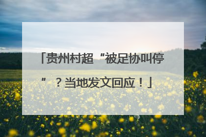 贵州村超“被足协叫停”？当地发文回应！