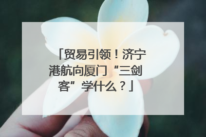 贸易引领！济宁港航向厦门“三剑客”学什么？