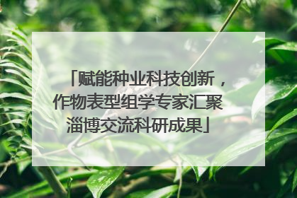 赋能种业科技创新，作物表型组学专家汇聚淄博交流科研成果
