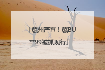 赣州严查！赣BU**99被抓现行
