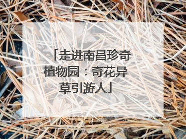 走进南昌珍奇植物园：奇花异草引游人