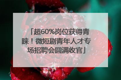 超60%岗位获得青睐！微短剧青年人才专场招聘会圆满收官