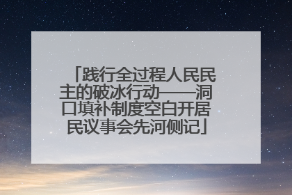 践行全过程人民民主的破冰行动——洞口填补制度空白开居民议事会先河侧记