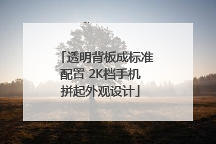 透明背板成标准配置 2K档手机拼起外观设计
