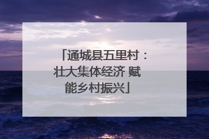 通城县五里村：壮大集体经济 赋能乡村振兴