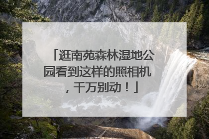 逛南苑森林湿地公园看到这样的照相机，千万别动！