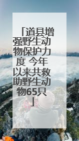 道县增强野生动物保护力度 今年以来共救助野生动物65只