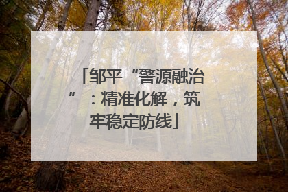 邹平“警源融治”：精准化解，筑牢稳定防线