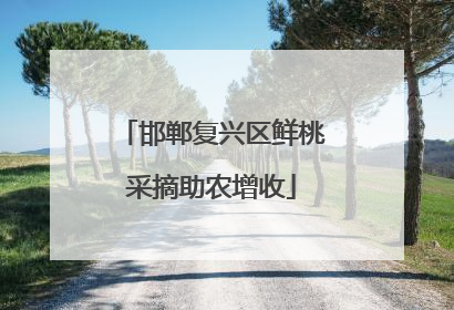 邯郸复兴区鲜桃采摘助农增收