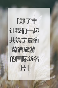郑子丰 让我们一起共筑宁夏葡萄酒旅游 的国际新名片
