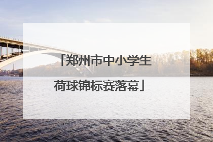 郑州市中小学生荷球锦标赛落幕