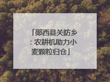 郧西县关防乡：农耕机助力小麦颗粒归仓