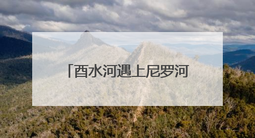 酉水河遇上尼罗河：保靖黄金茶、村厨“出海”启新途