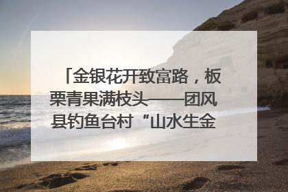 金银花开致富路，板栗青果满枝头——团风县钓鱼台村“山水生金”谱写共富新篇章