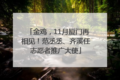 金鸡，11月厦门再相见！范丞丞、齐溪任志愿者推广大使