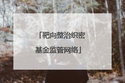 靶向整治织密基金监管网络