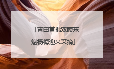 青田首批双膜东魁杨梅迎来采摘