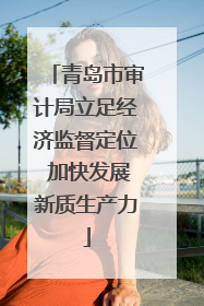青岛市审计局立足经济监督定位 加快发展新质生产力
