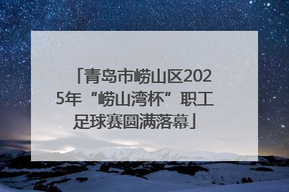 青岛市崂山区2025年“崂山湾杯”职工足球赛圆满落幕