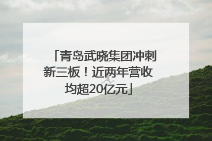 青岛武晓集团冲刺新三板！近两年营收均超20亿元