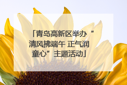 青岛高新区举办“清风拂端午 正气润童心”主题活动