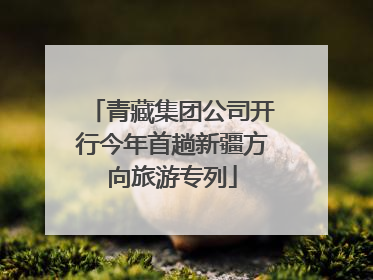 青藏集团公司开行今年首趟新疆方向旅游专列