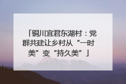 铜川宜君东湖村：党群共建让乡村从“一时美”变“持久美”
