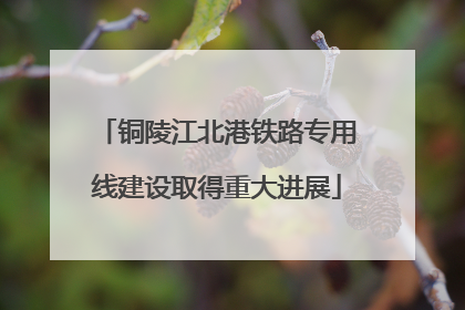 铜陵江北港铁路专用线建设取得重大进展