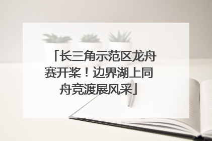 长三角示范区龙舟赛开桨！边界湖上同舟竞渡展风采