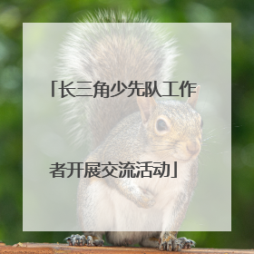 长三角少先队工作者开展交流活动