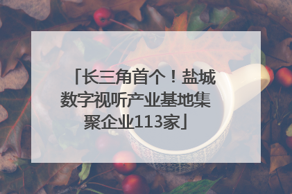 长三角首个！盐城数字视听产业基地集聚企业113家